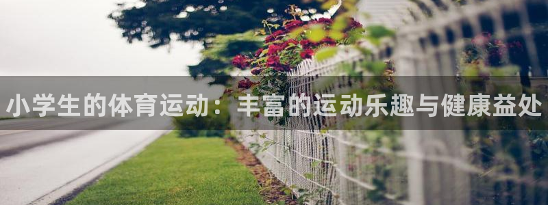 必发官方正版app集团官网首页网址：小学生的体育运动