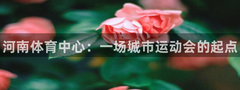 必发官网下载招商电话是多少号码：河南体育中心：一场城
