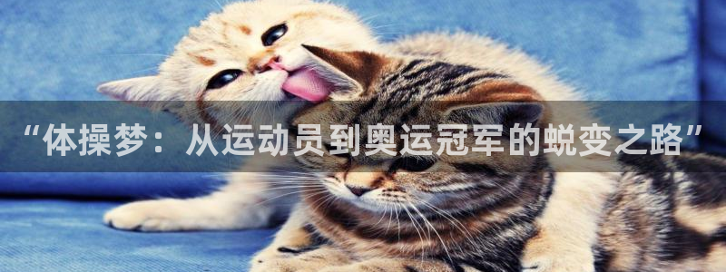 必发官网下载软件：“体操梦：从运动员到奥运冠军的蜕变