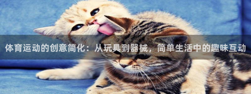必发官网下载招商电话号码是多少号：体育运动的创意简化