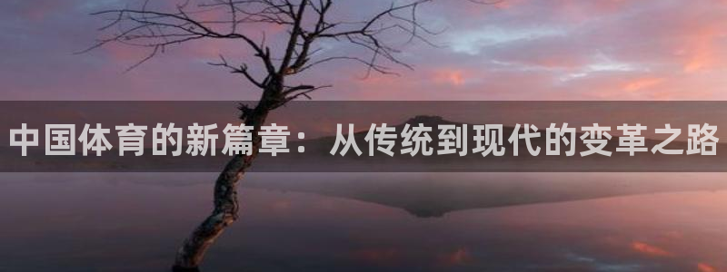 必发官网下载平台APP：中国体育的新篇章：从传统到现代的变革