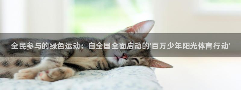 必发官网下载平台假的吗是真的吗吗