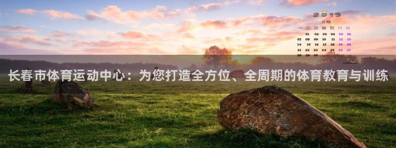必发官方正版app新能源