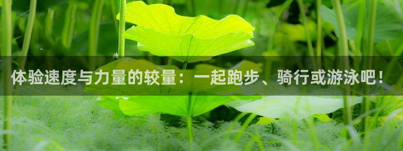 必发官网下载软件：体验速度与力量的较量：一起跑步、骑行或游泳