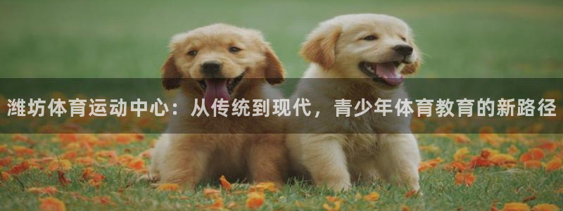 必发官方正版app娱乐代理怎么样：潍坊体育运动中心：从传统到