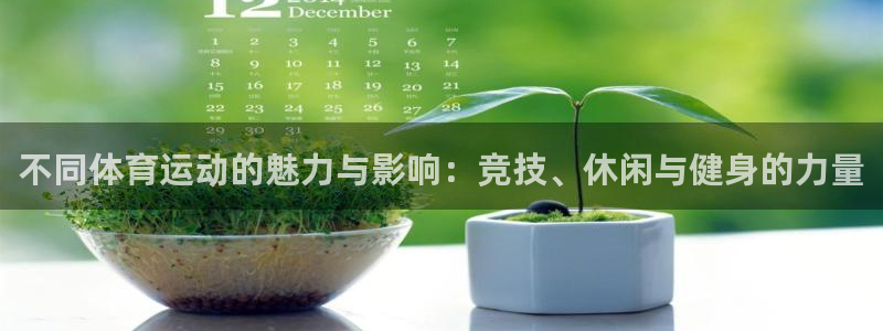 必发官网下载平台：不同体育运动的魅力与影响：竞技、休