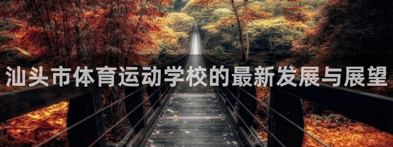 必发官方正版app娱乐是那个系列的台子：汕头市体育运