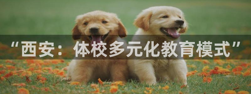 必发官方正版app娱乐首页官网下载:“西安:体校多元化教育模