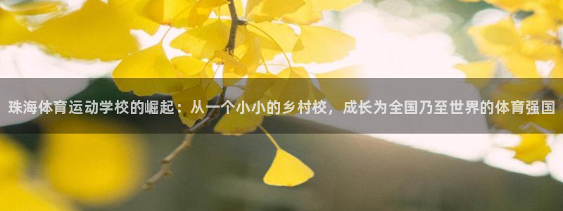 必发官方正版app集团官网首页网址：珠海体育运动学校的崛起：