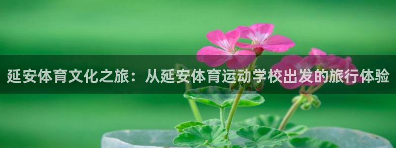 必发官方正版app娱乐首页官网下载：延安体育文化之旅：从延安