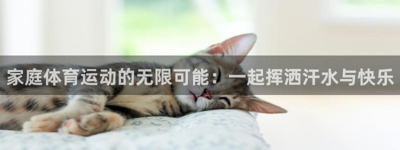 海南必发官网下载：家庭体育运动的无限可能：一起挥洒汗