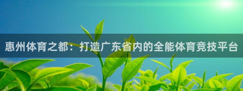 必发官网下载平台假的吗是真的吗吗：惠州体育之都：打造广东省内