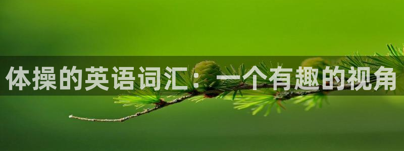 必发官网下载平台注册