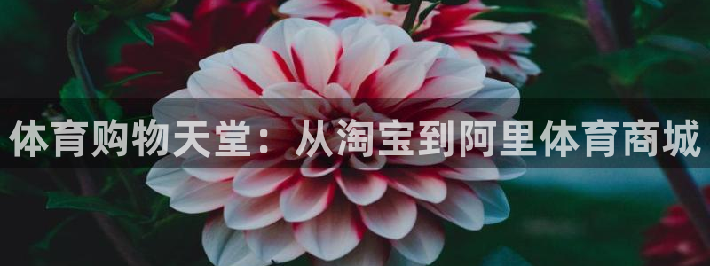 必发官方正版app集团E.ON：体育购物天堂：从淘宝到阿里体
