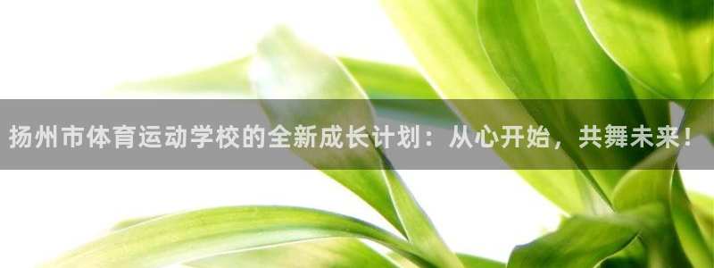 必发交易规则是怎样：扬州市体育运动学