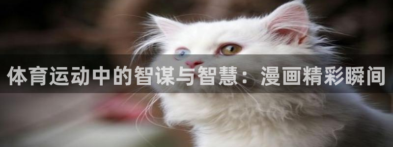 必发集团平台登录网站查询：体育运动中