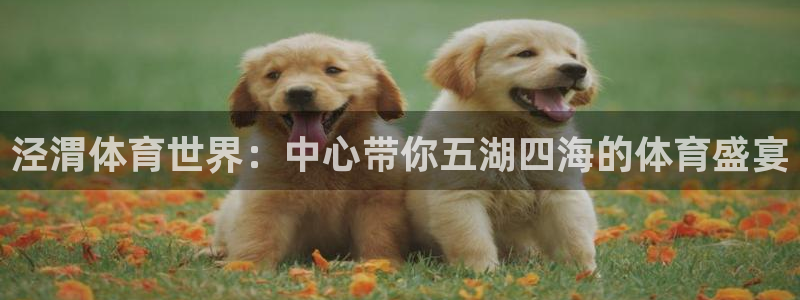 必发集团网站大全：泾渭体育世界：中心