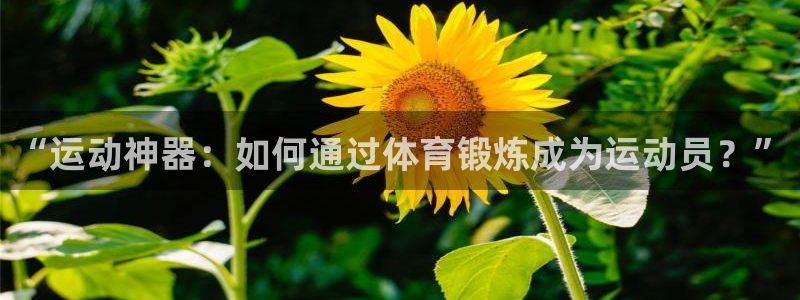 必发手机娱乐平台怎么样：“运动神器：