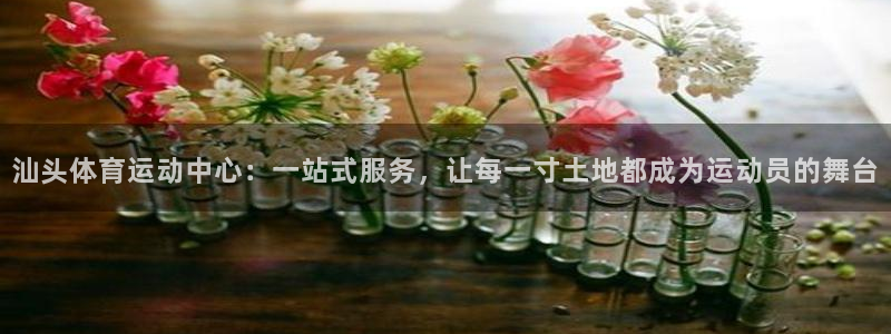 home88–bf必发唯一官网：汕头