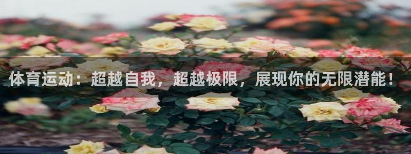必发集团游戏网址：体育运动：超越自我
