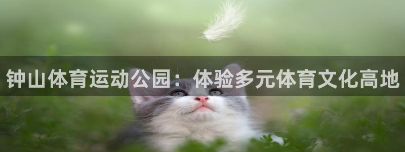 最新必发登陆网址：钟山体育运动公园：