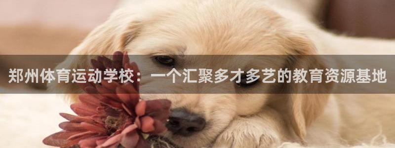 必发集团官网登录网址：郑州体育运动学