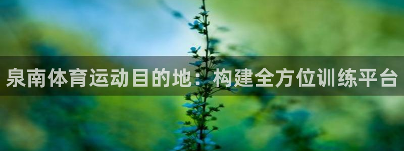 必发集团平台登录网站官网：泉南体育运