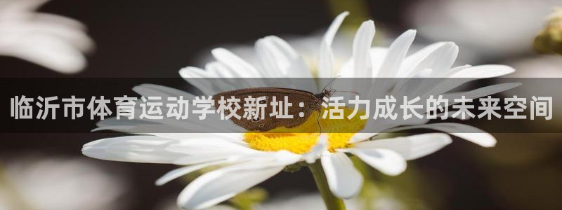 必发集团官网登录网址是什么呢：临沂市