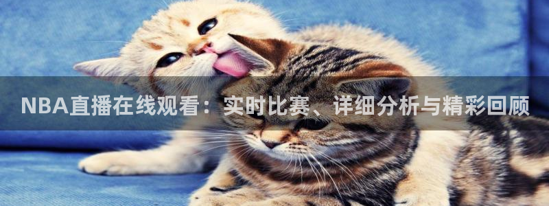 360体育直播在线：NBA直播在线观看：实时比赛、详细分析与精彩回顾