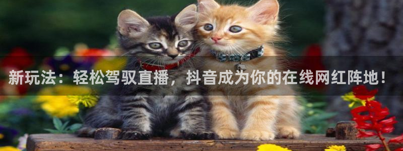 雨燕360体育最新更新内容：新玩法：轻松驾驭直播，抖音成为你的在线网红阵地！