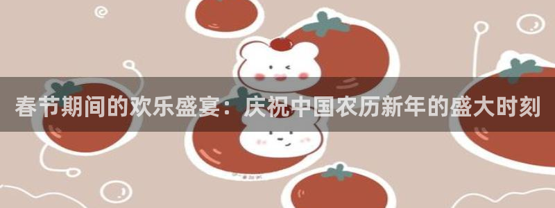 体育360直播在线观看：春节期间的欢乐盛宴：庆祝中国农历新年的盛大时刻