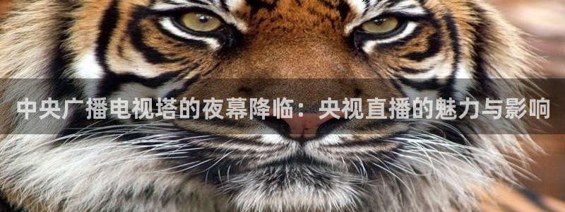 360直播低调看球：中央广播电视塔的夜幕降临：央视直播的魅力与影响