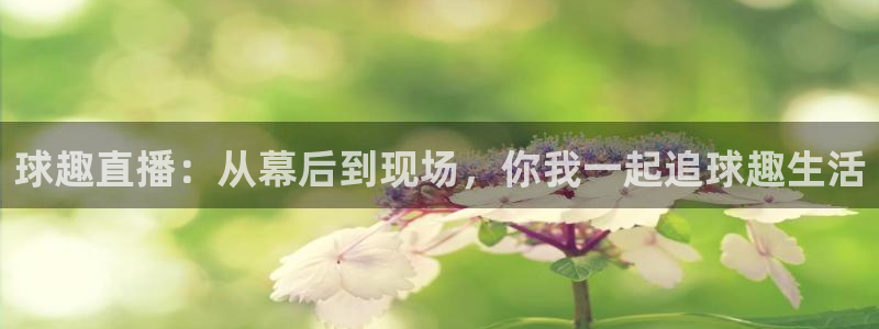 nba直播360高清：球趣直播：从幕后到现场，你我一起追球趣生活