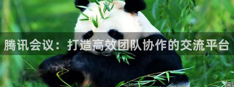 360体育视频直播：腾讯会议：打造高效团队协作的交流平台